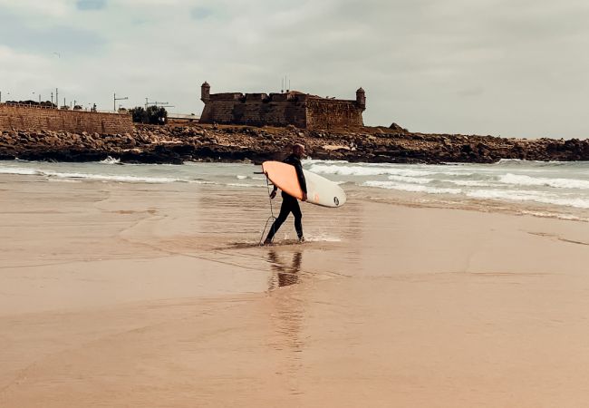 Apartamento en Porto - Oporto Music by Hopstays | Casa de la Música Apartamento en Porto - Oporto Music by Hopstays | Casa de la Música