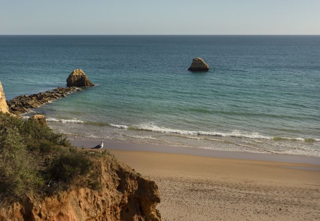 Apartamento en Portimão - Apartamento 2 habitaciones 2 baños, a 1km de la playa. 🏖️