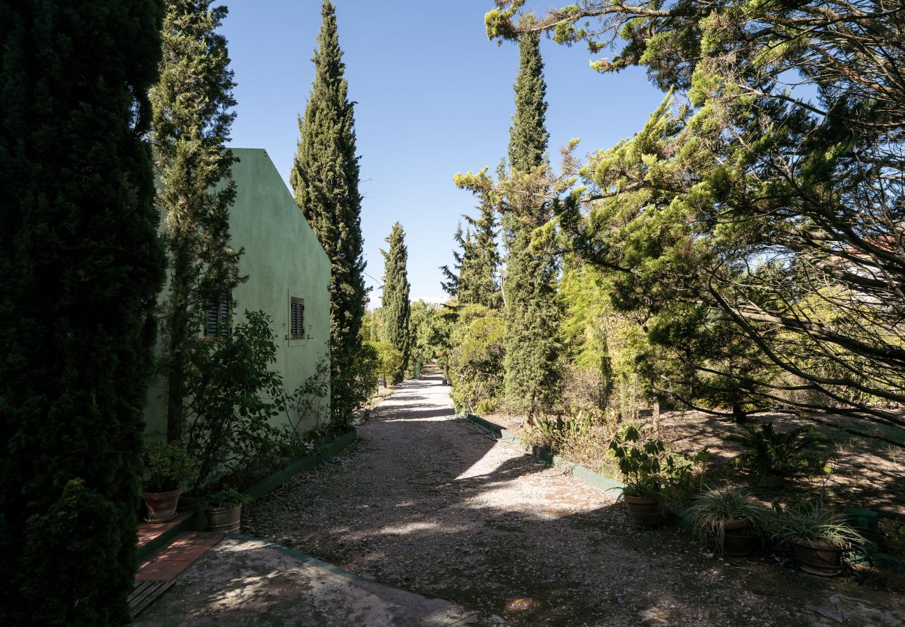 Alquiler por habitaciones en Palmela - Hopstays - Guest house - Quinta de Zanao 