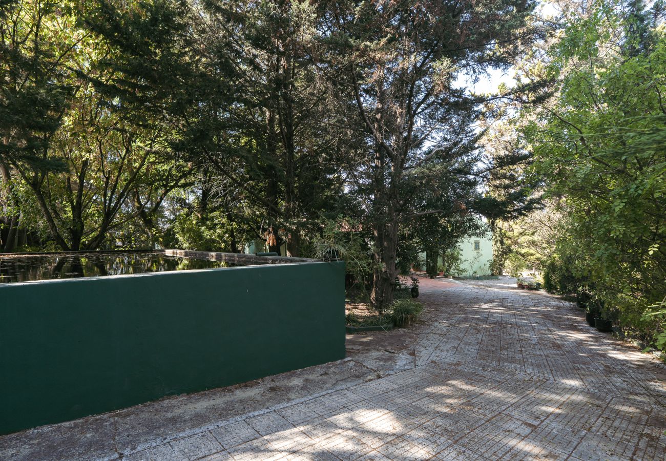 Alquiler por habitaciones en Palmela - Hopstays - Guest house - Quinta de Zanao 