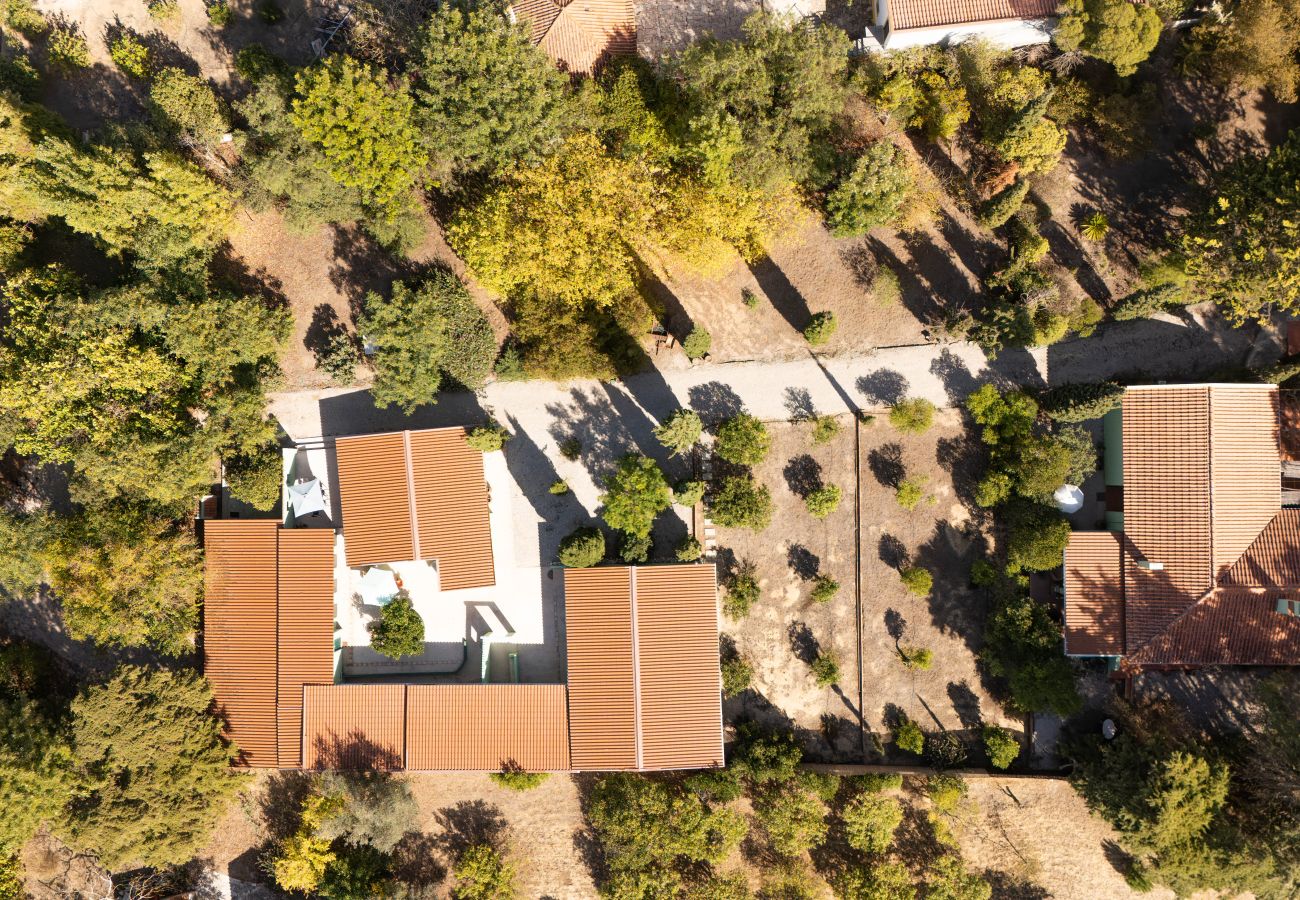 Alquiler por habitaciones en Palmela - Hopstays - Guest house - Quinta de Zanao 