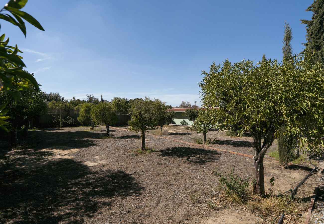 Villa en Palmela - Hopstays - Quinta de Zanão House
