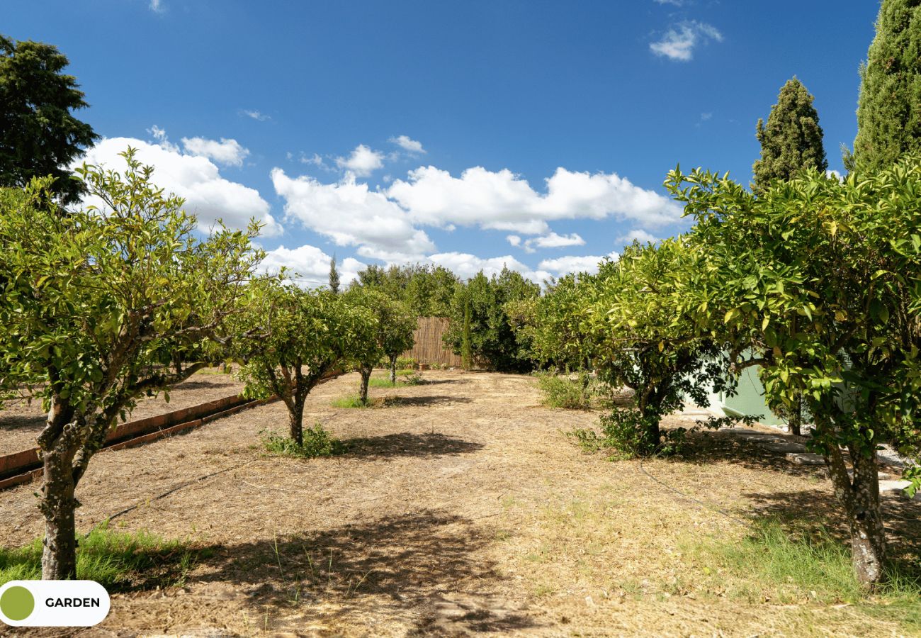 Villa en Palmela - Hopstays - Quinta de Zanão House