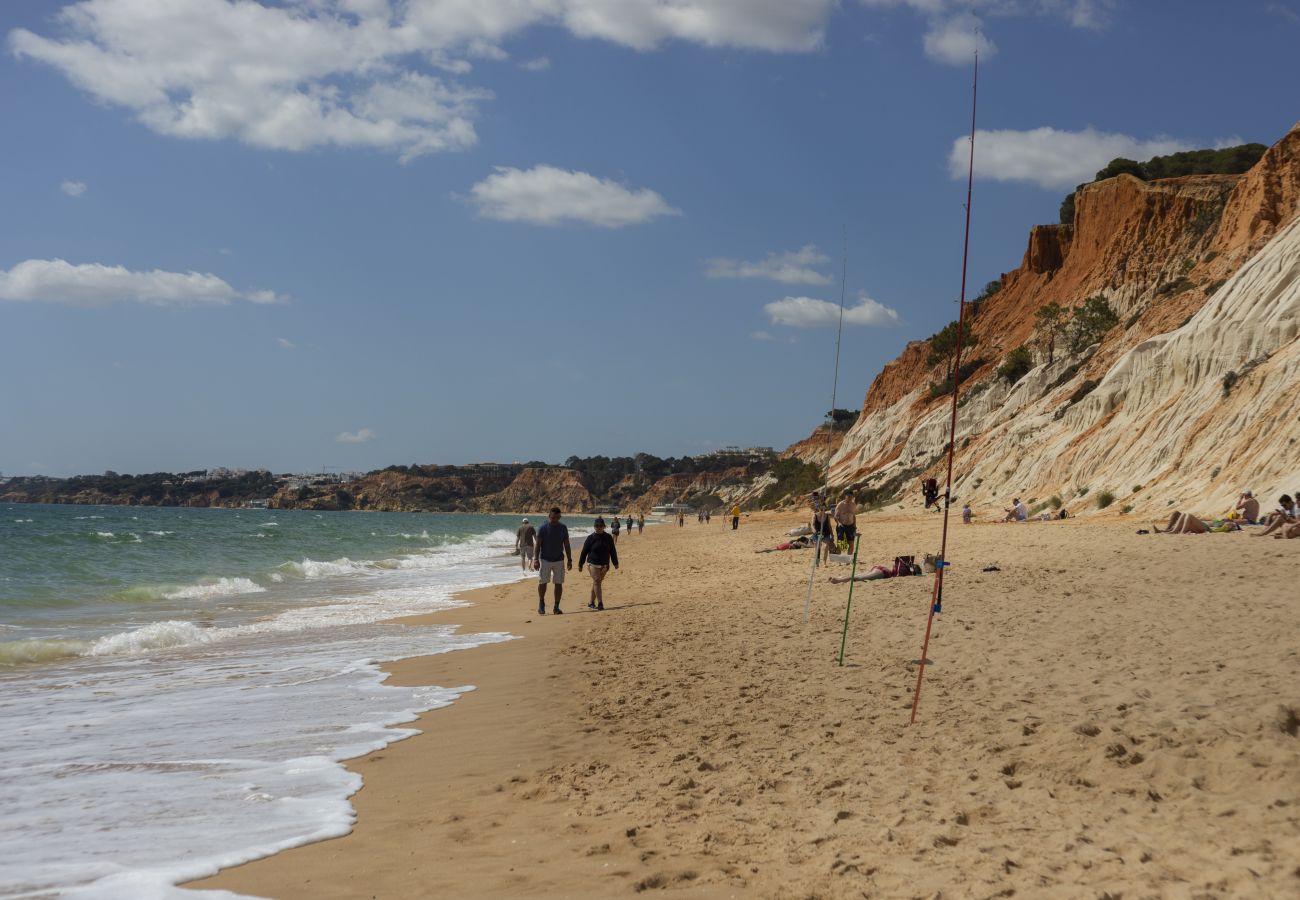 Maison à Vilamoura - Maison avec Piscine à Vilamoura Aldeia do Golfe ☀️