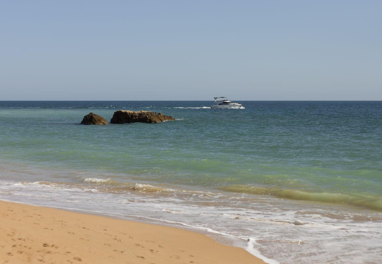 Appartement à Albufeira - Appartement à 100m de la Plage, à Albufeira ☀️