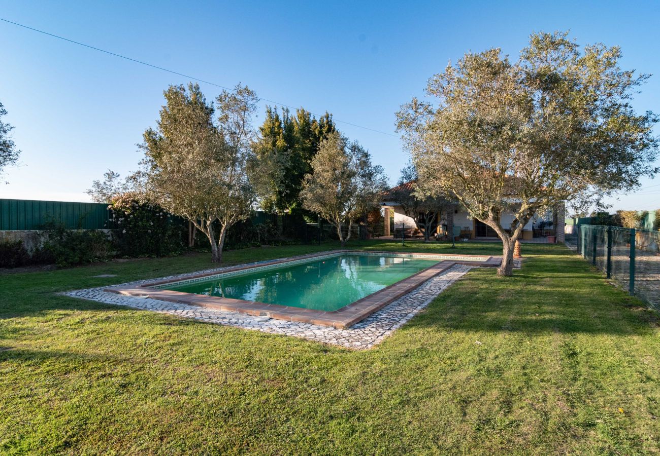 Maison à Palmela - Palmela Quinta das Oliveiras - Hopstays