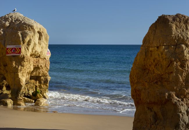 Maison à Vilamoura - Vilamoura Eden Villas par Hopstays | Piscine & Golf Maison à Vilamoura - Vilamoura Eden Villas par Hopstays | Piscine & Golf