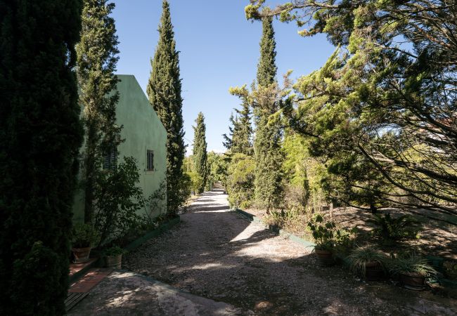 Chambres d'hôtes à Palmela - Hopstays - Guest house - Quinta de Zanao  Chambres d'hôtes à Palmela - Hopstays - Guest house - Quinta de Zanao