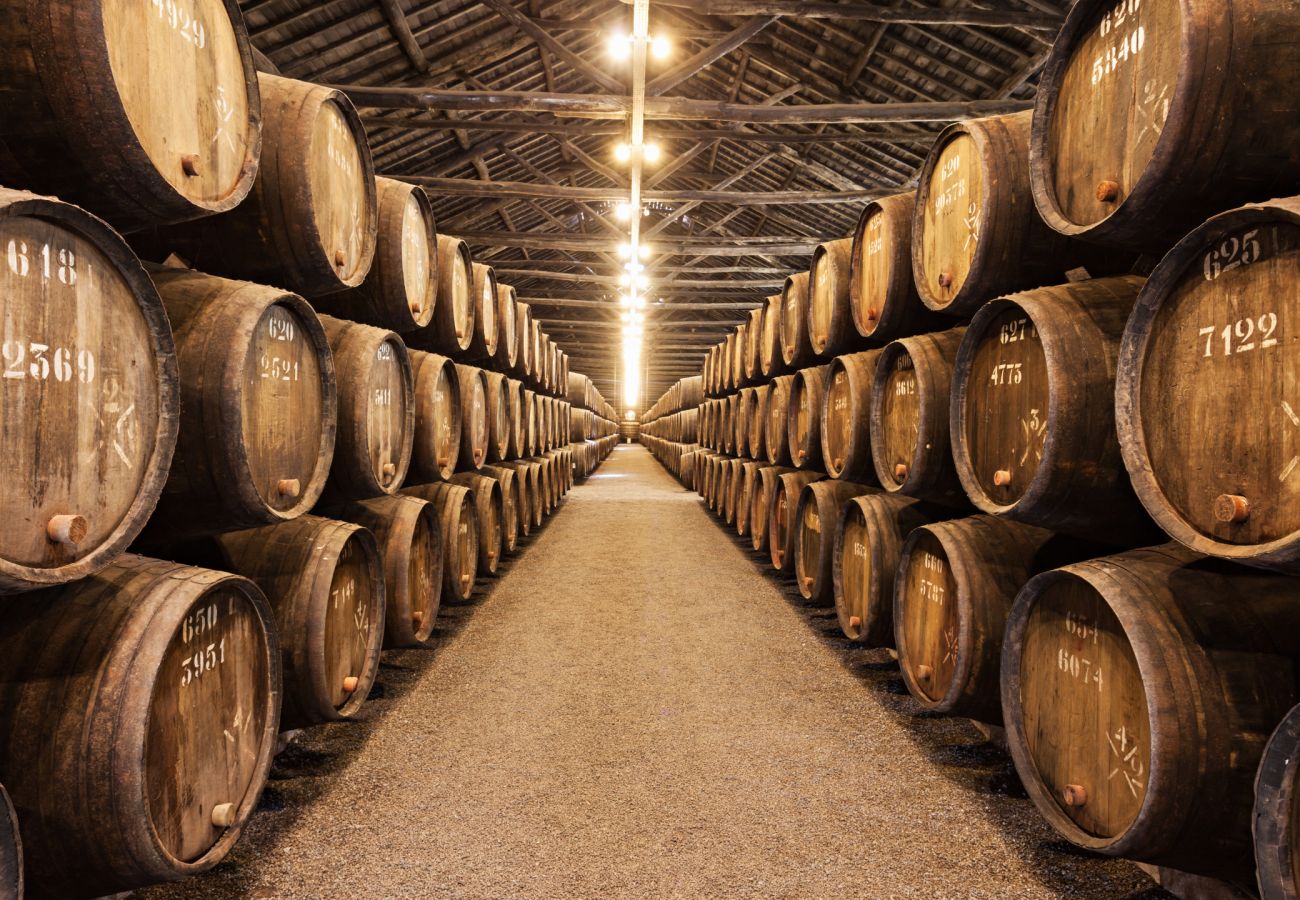 Appartement à Porto - Oporto Tiles Mezzanine by Hopstays | Marquês