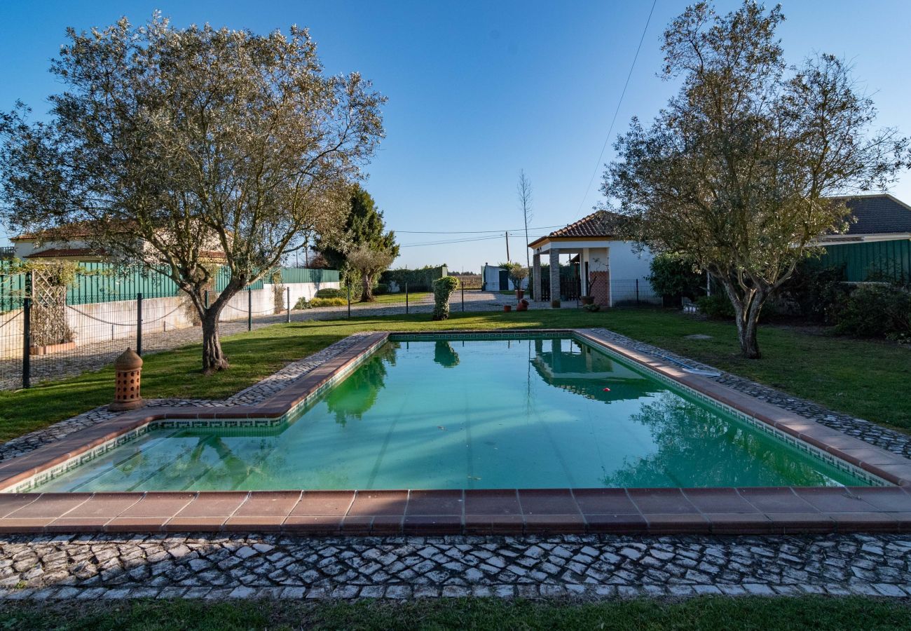 Casa a Palmela - Palmela Quinta das Oliveiras - Hopstays