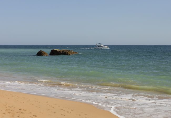 Appartamento a Albufeira - Hopstays - Albufeira Olympics con piscina Appartamento a Albufeira - Hopstays - Albufeira Olympics con piscina