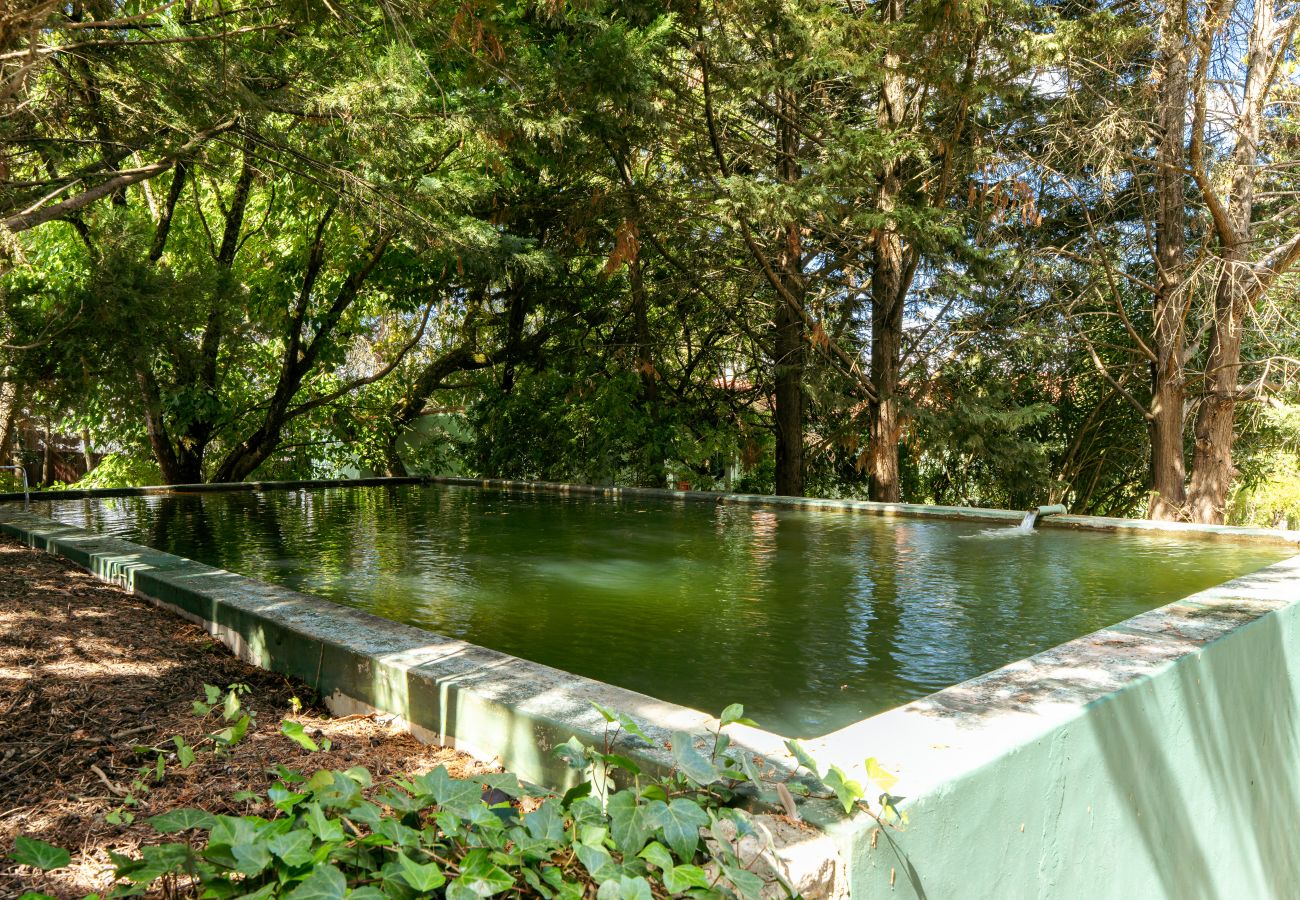 Villa a Palmela -  Palmela Quinta (Geraldo Zanão)