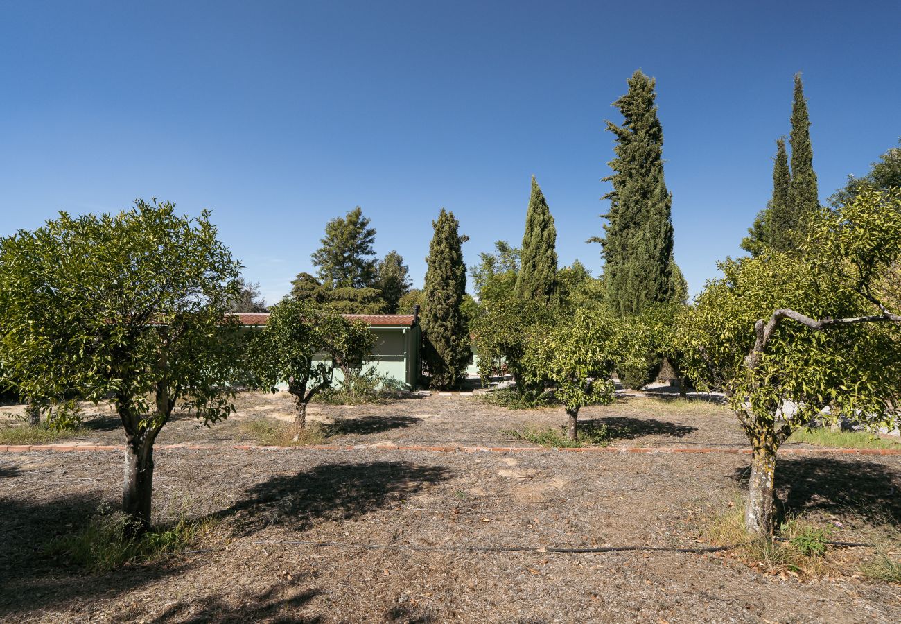 Villa a Palmela - Hopstays - Quinta de Zanão House