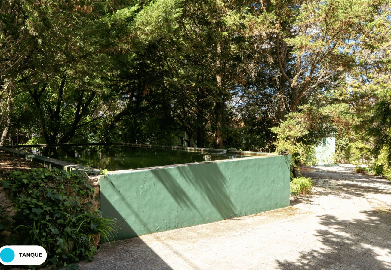 Villa a Palmela - Hopstays - Quinta de Zanão House