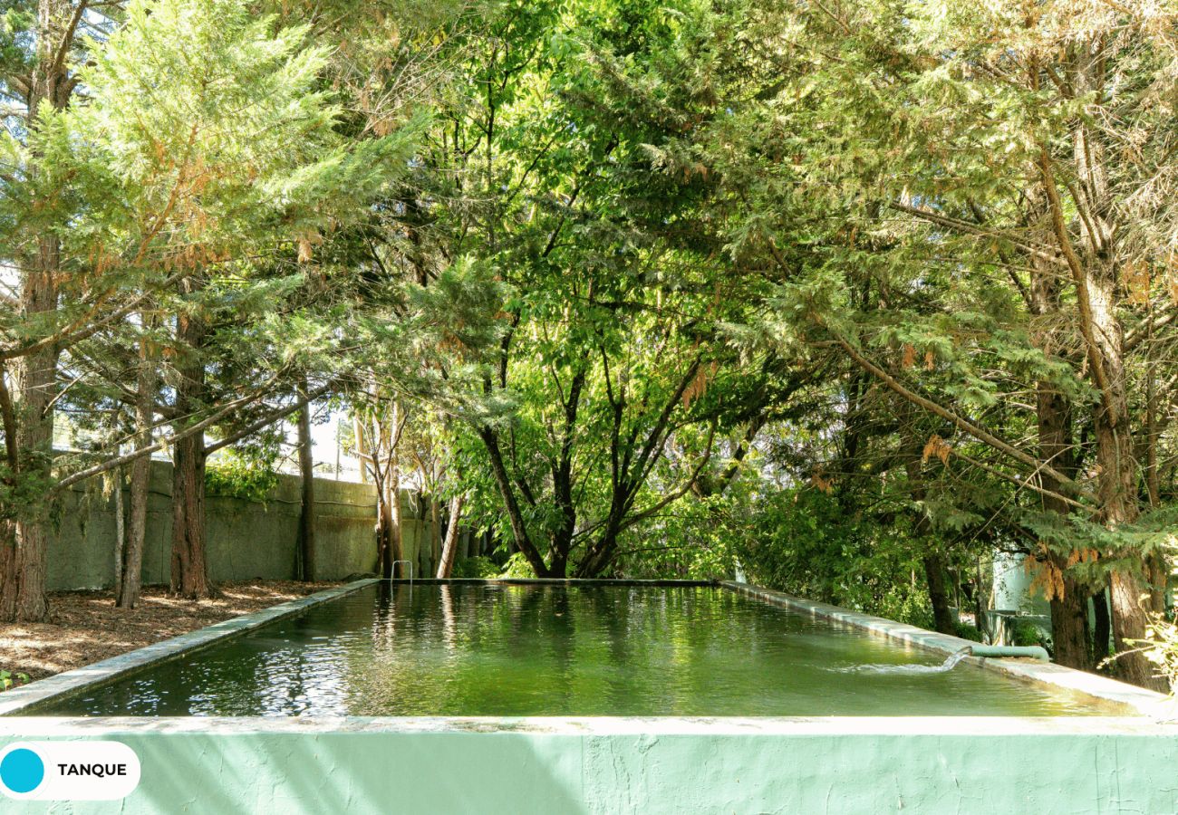 Villa a Palmela - Hopstays - Quinta de Zanão House
