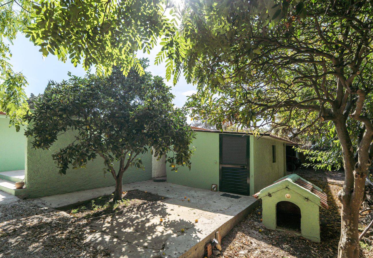 Villa em Palmela - Hopstays - Quinta de Zanão House