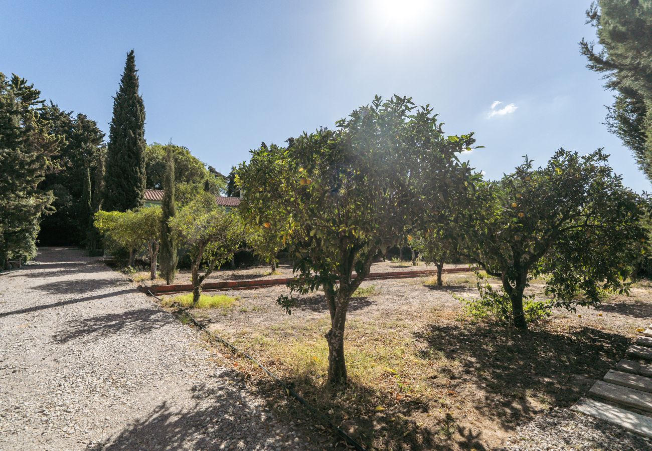 Villa em Palmela - Hopstays - Quinta de Zanão House