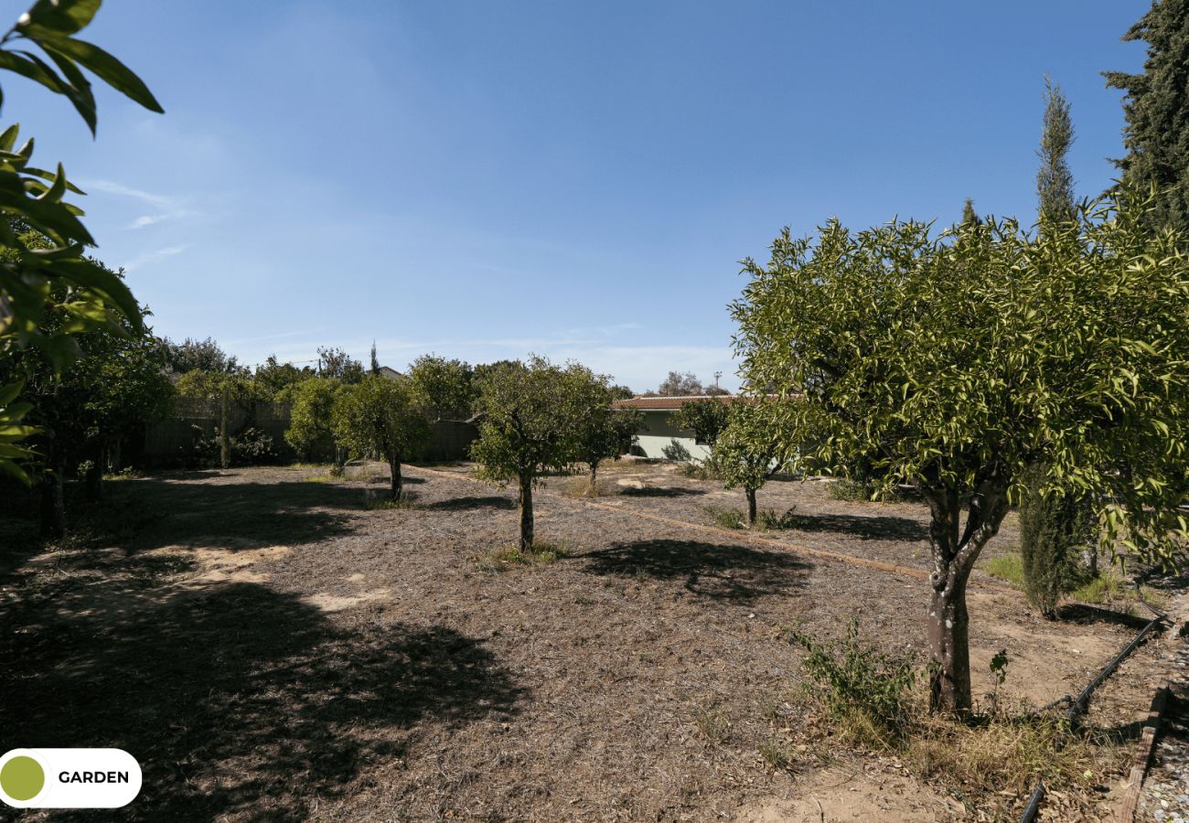 Villa em Palmela - Hopstays - Quinta de Zanão House