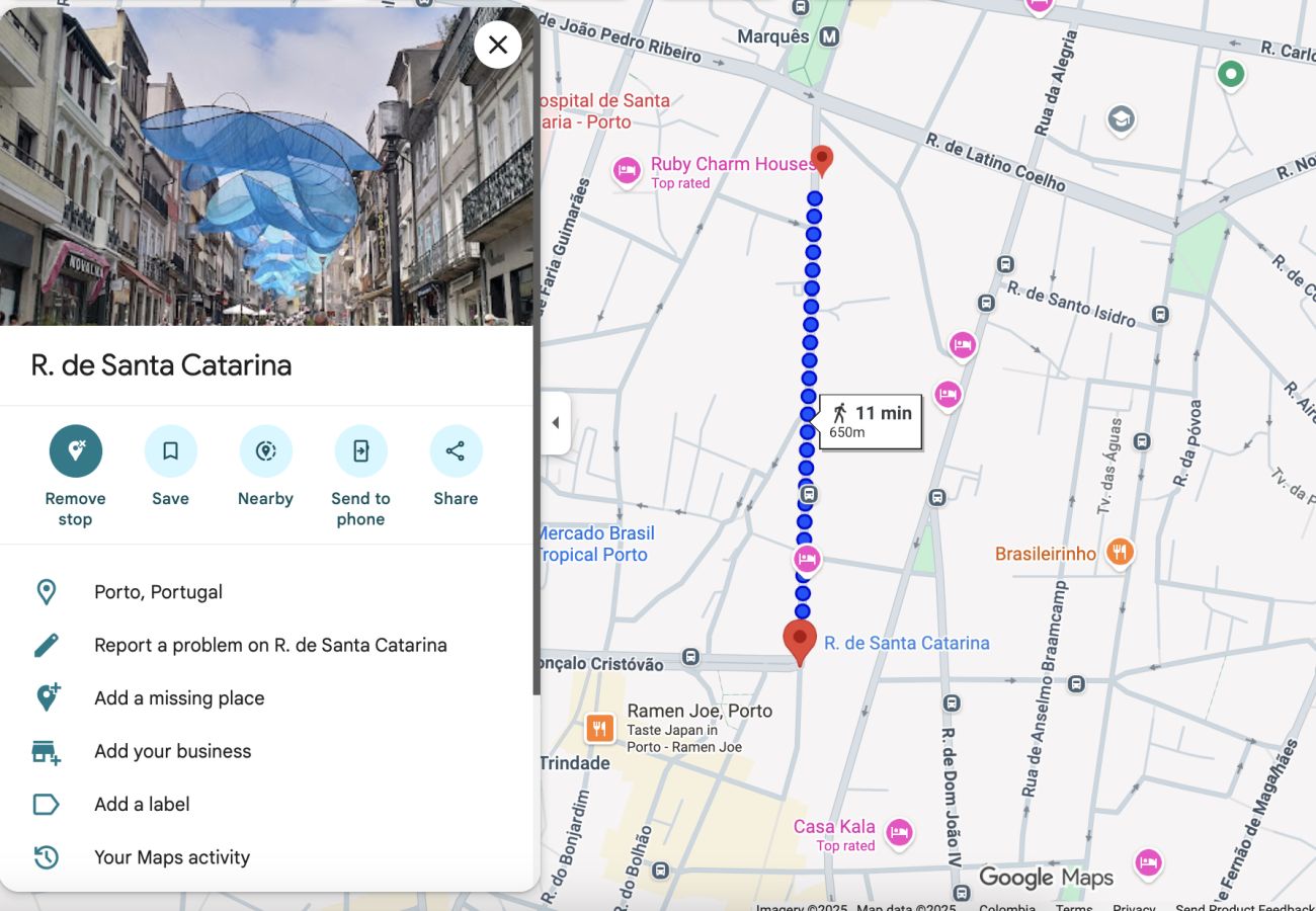 Studio in Porto - Oporto Vibes by Hopstays | Saint Catarina