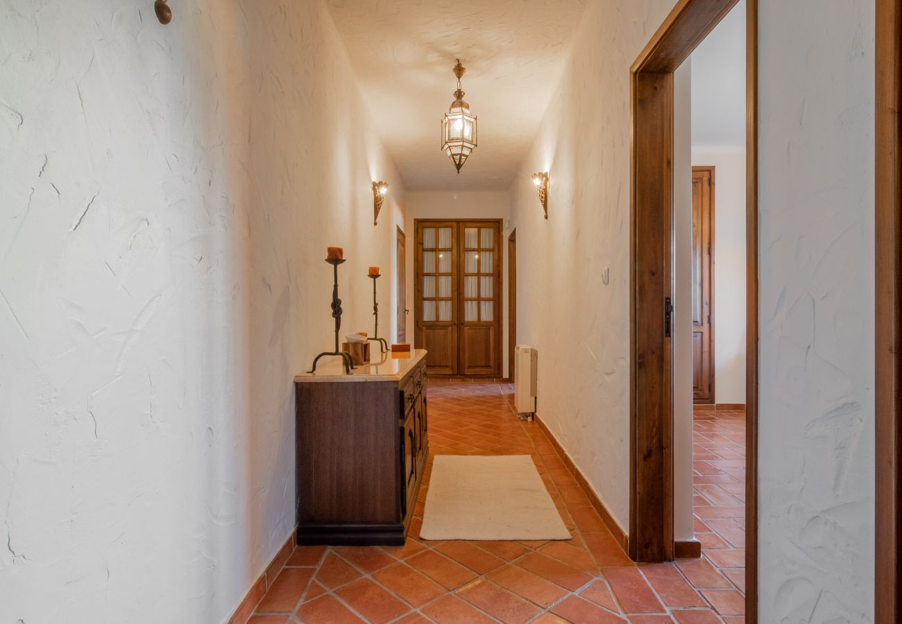 House in Palmela - Hopstays - Palmela Quinta das Oliveiras