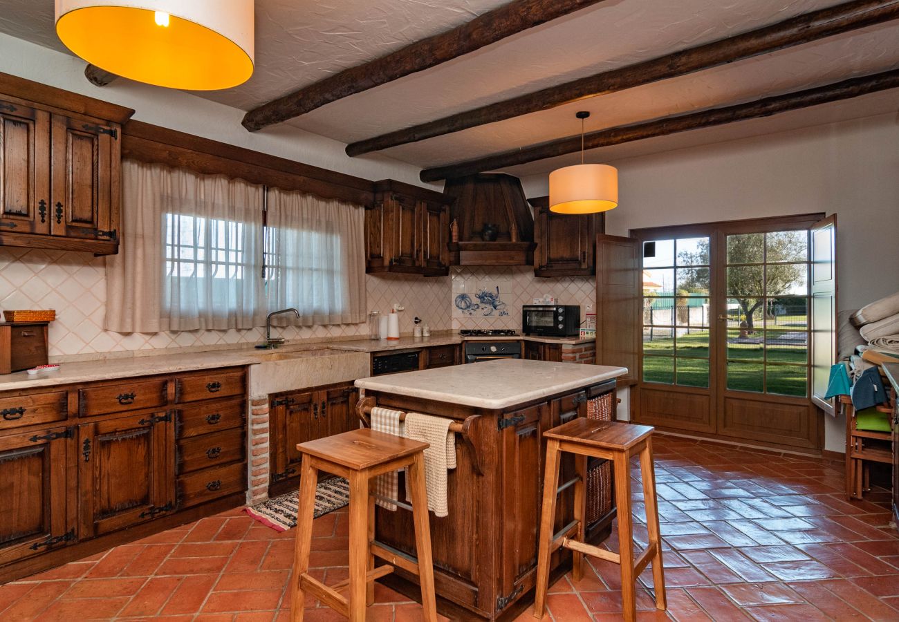House in Palmela - Hopstays - Palmela Quinta das Oliveiras