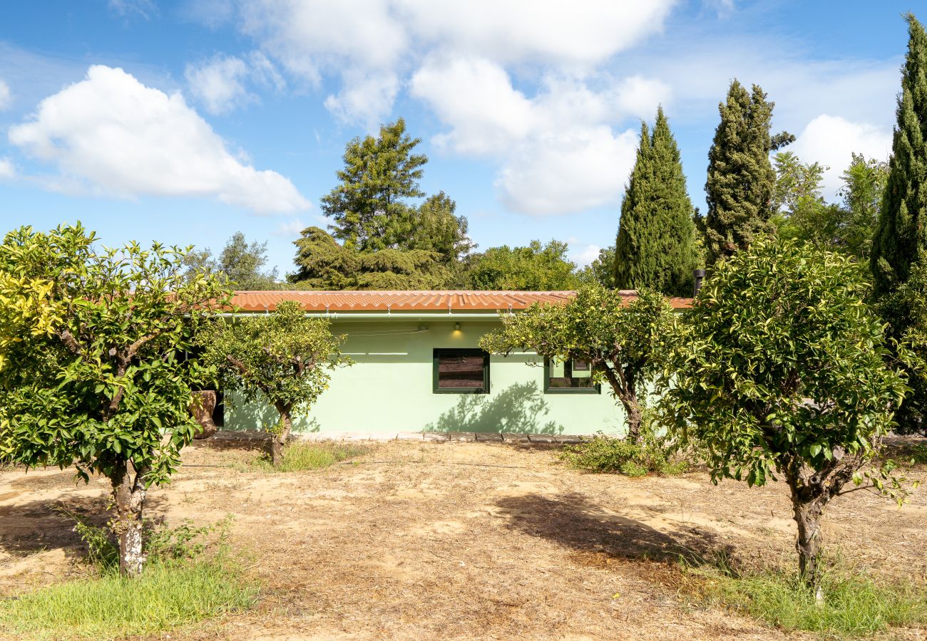 Rent by room in Palmela - 08.03 Shared property