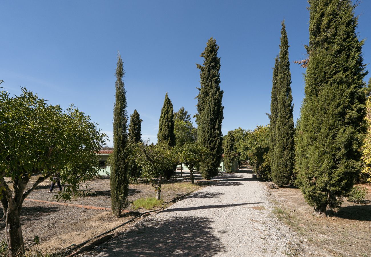 Rent by room in Palmela - Hopstays - Guest house - Quinta de Zanao 