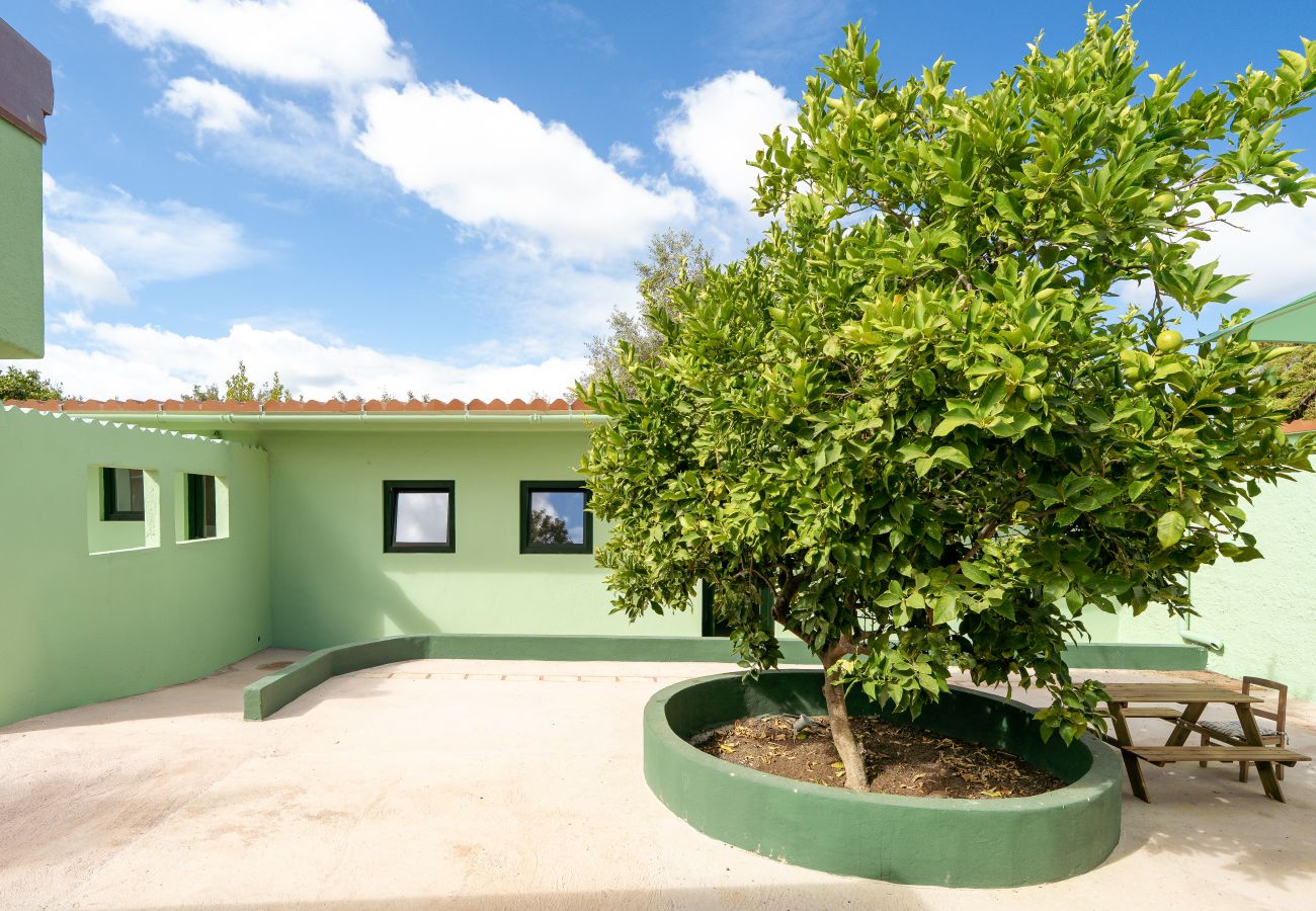 Villa in Palmela -  Palmela Quinta (Geraldo Zanão)