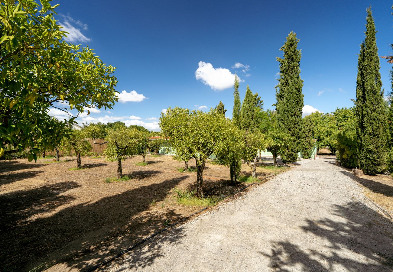 Villa in Palmela -  Palmela Quinta (Geraldo Zanão)