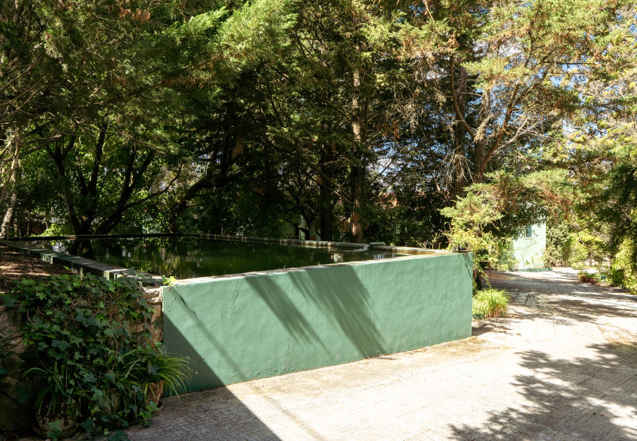 Villa in Palmela -  Palmela Quinta (Geraldo Zanão)