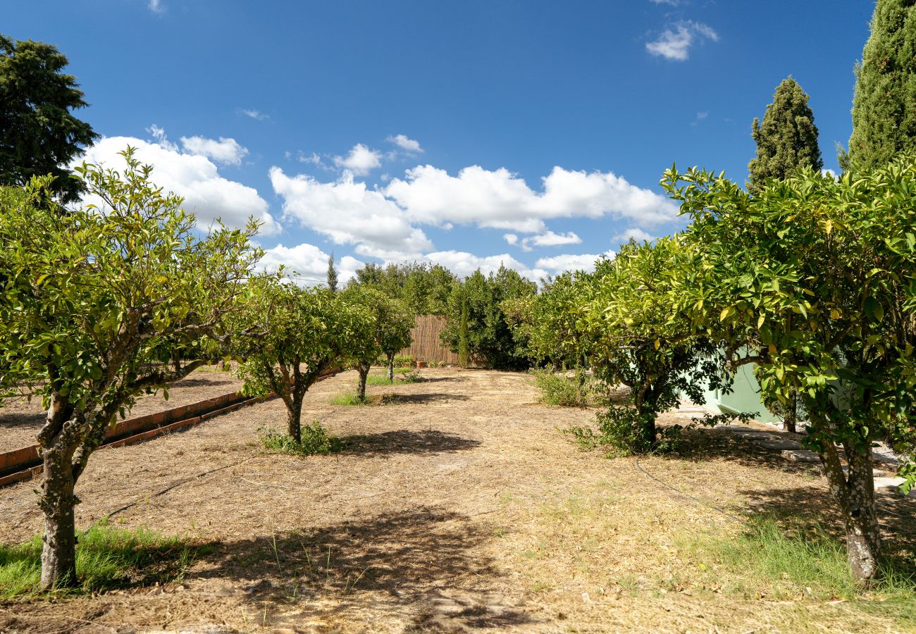 Villa in Palmela -  Palmela Quinta (Geraldo Zanão)