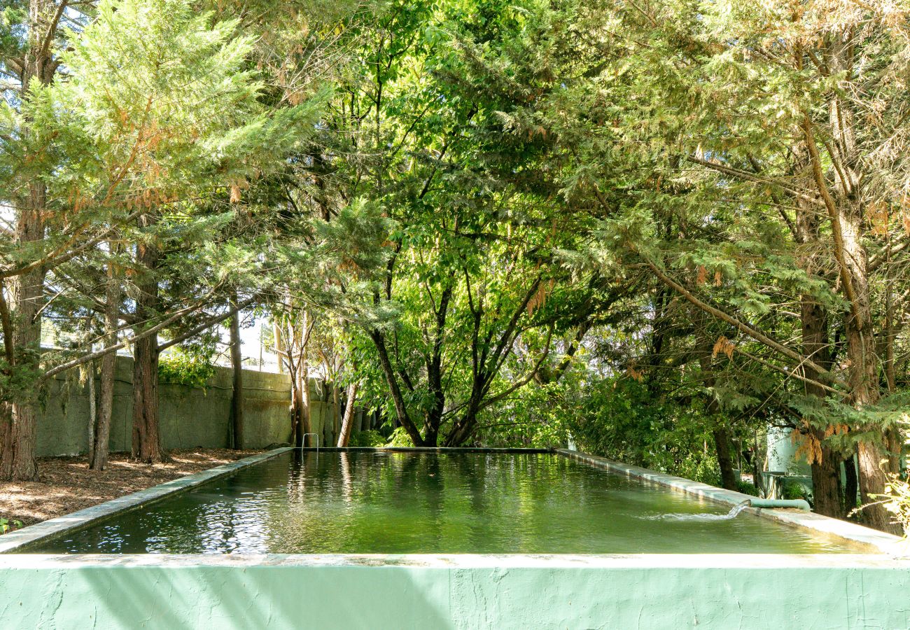 Villa in Palmela -  Palmela Quinta (Geraldo Zanão)