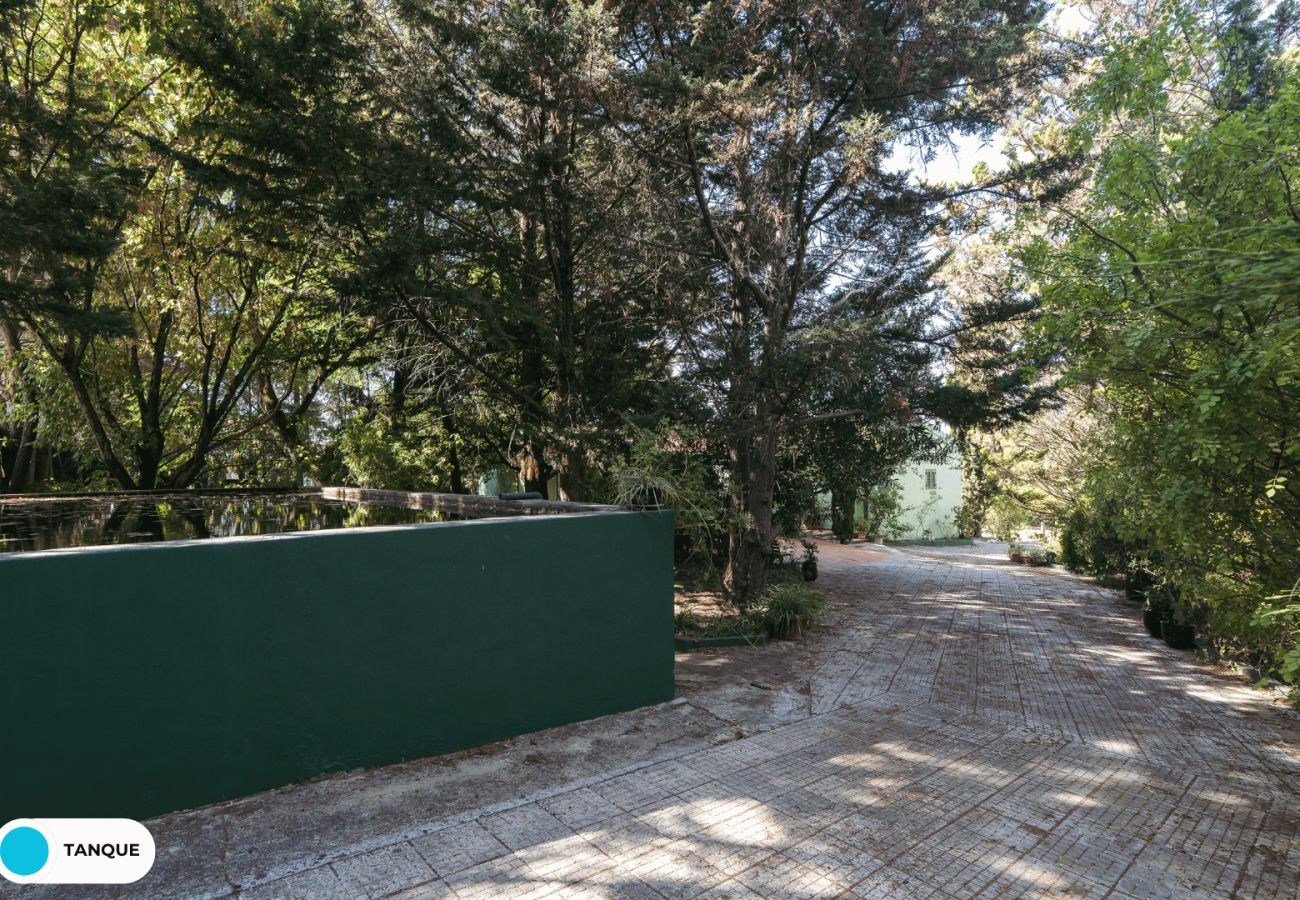 Villa in Palmela - Hopstays - Quinta de Zanão House